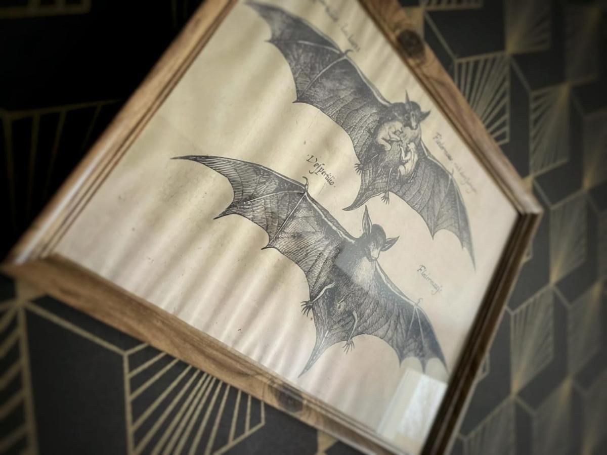 New - Bat'Appart - Dijon - Insolite ロンヴィック エクステリア 写真