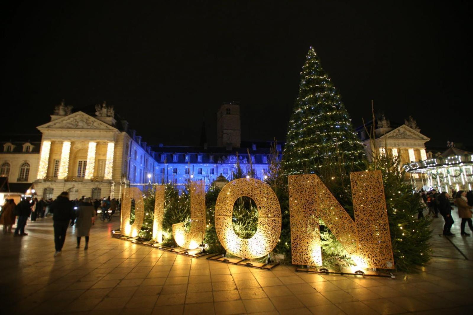 New - Bat'Appart - Dijon - Insolite ロンヴィック エクステリア 写真